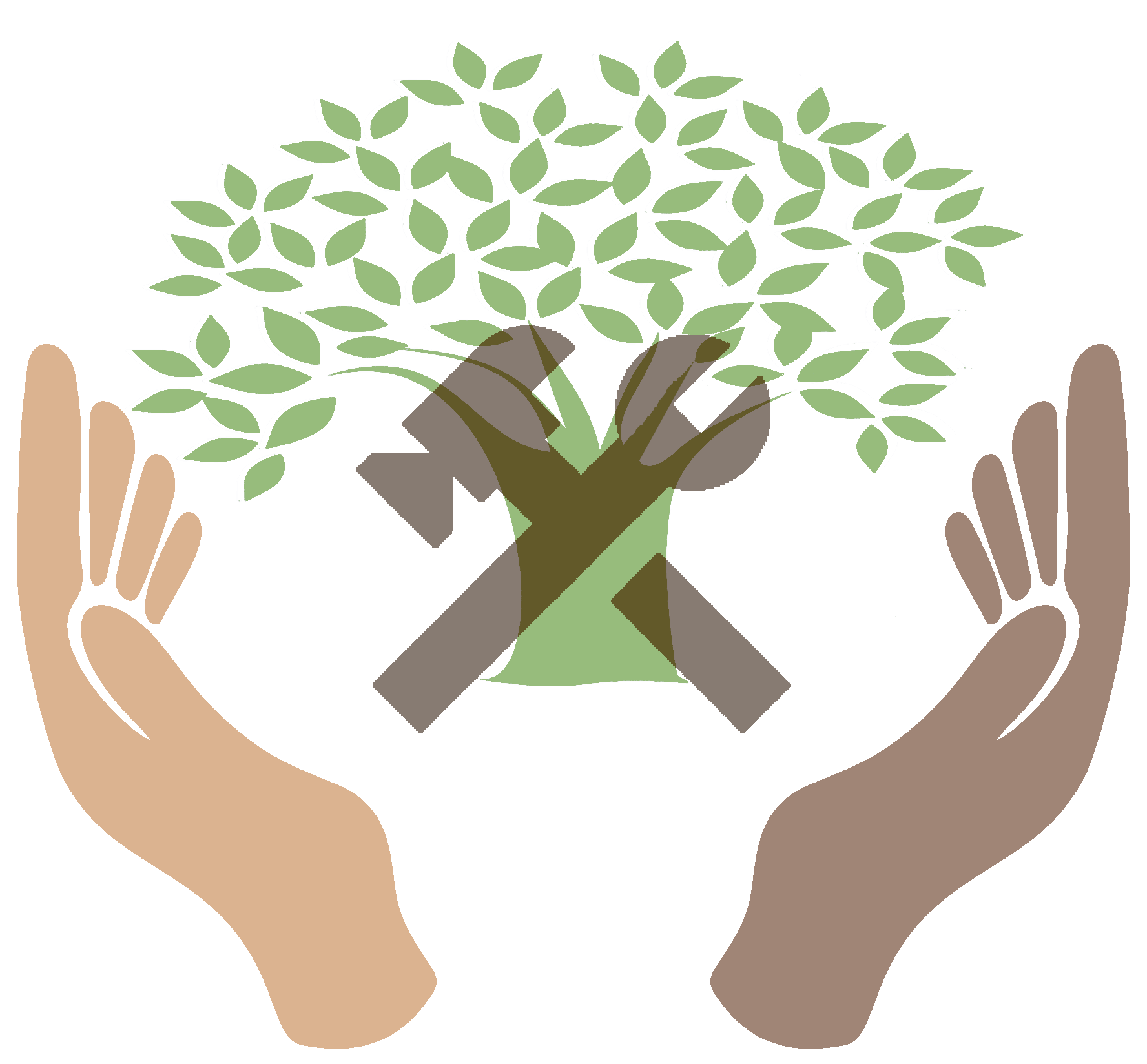 Stichting Steun Weeskinderen In Ghana - Binnenkort live